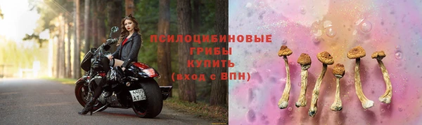 синтетический гашиш Алексеевка