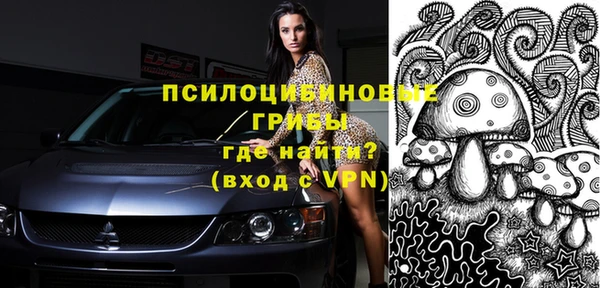 спиды Абаза